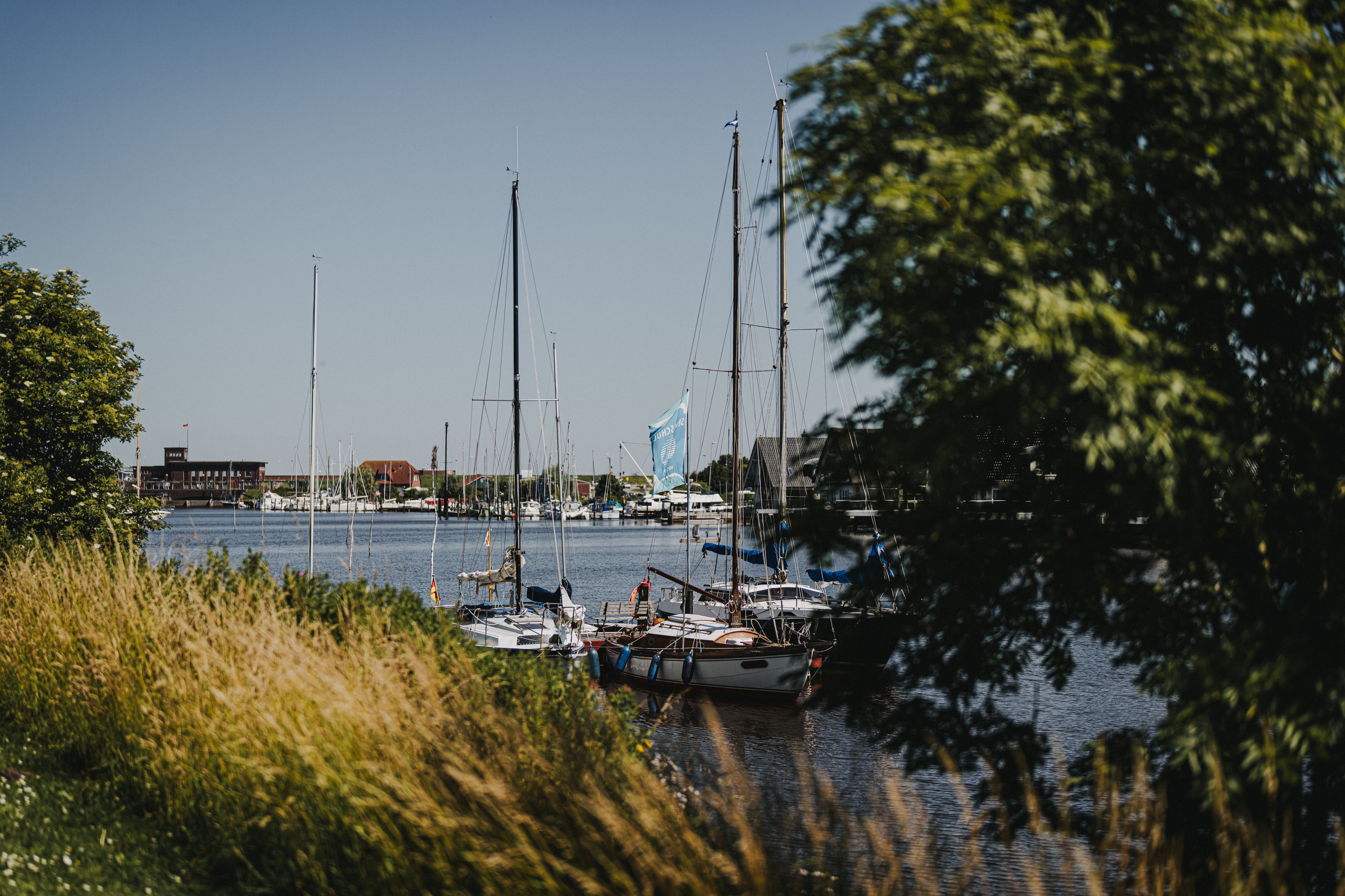 No image description available