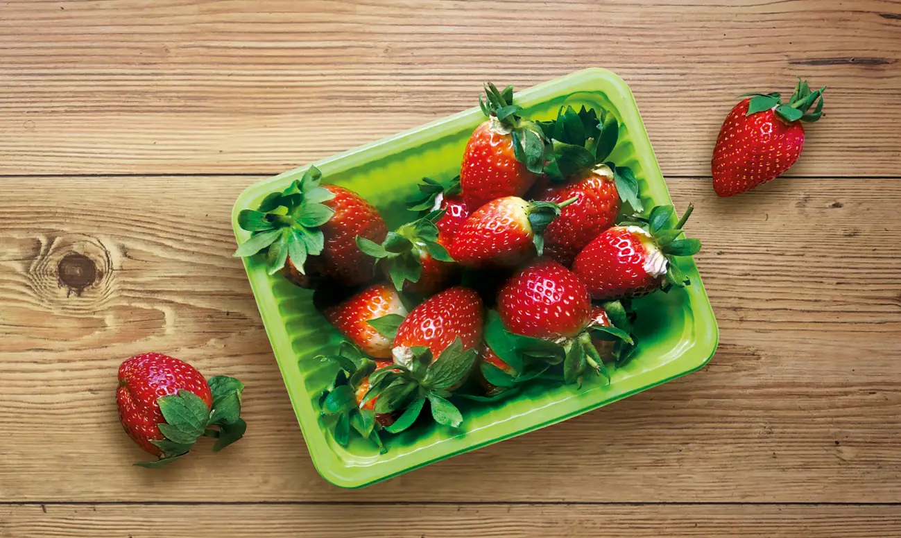Thermoforming_tray