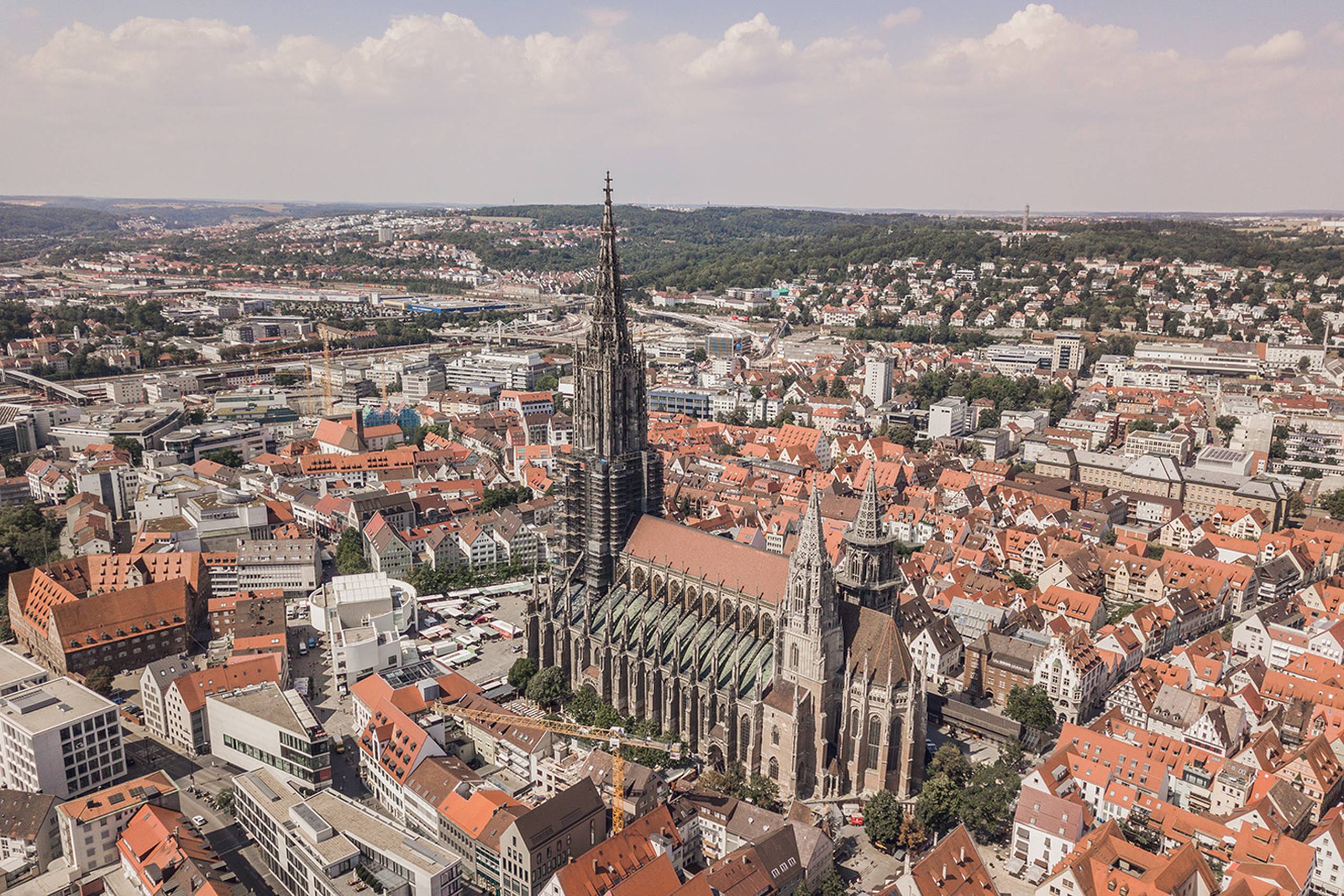 ULM
