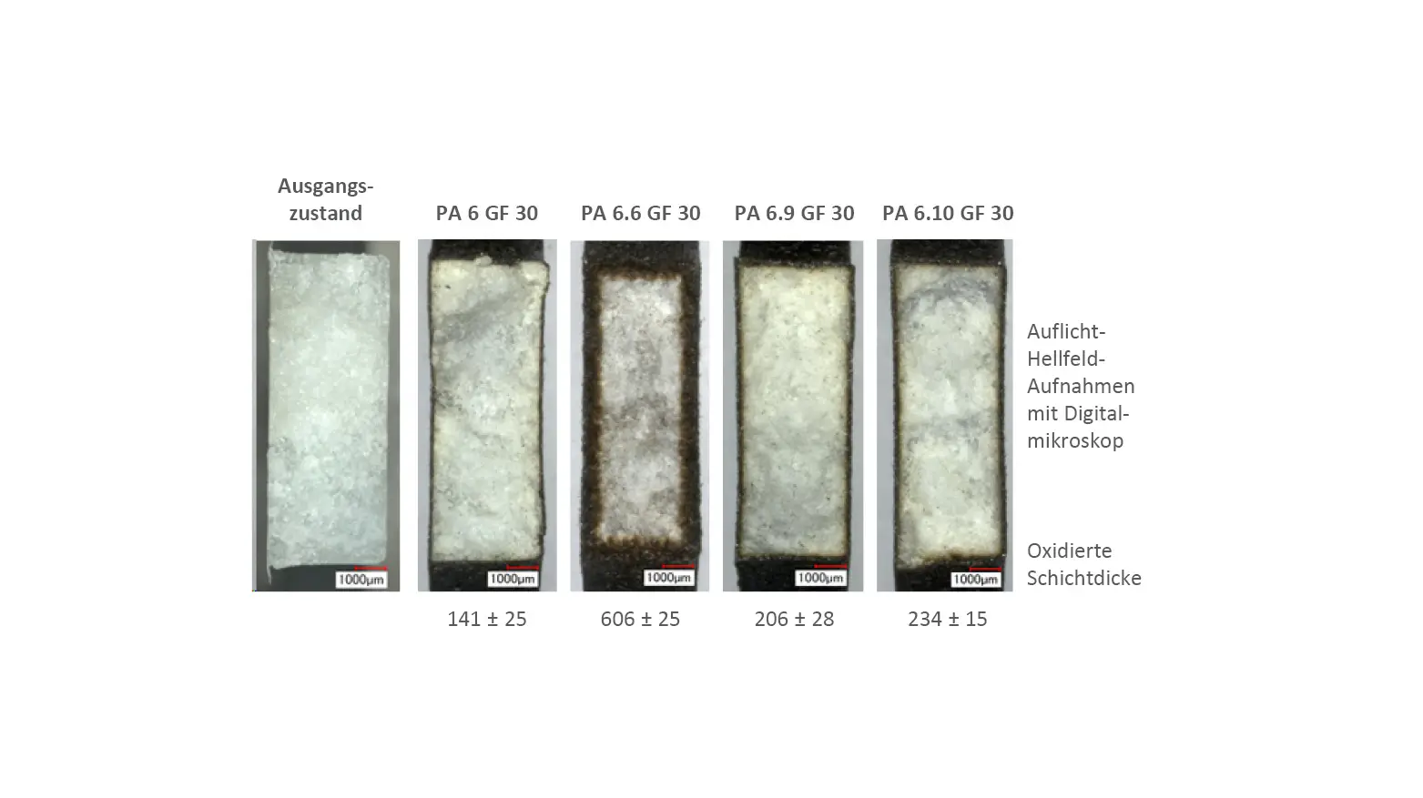 BildText_500x281optical_effect_DE