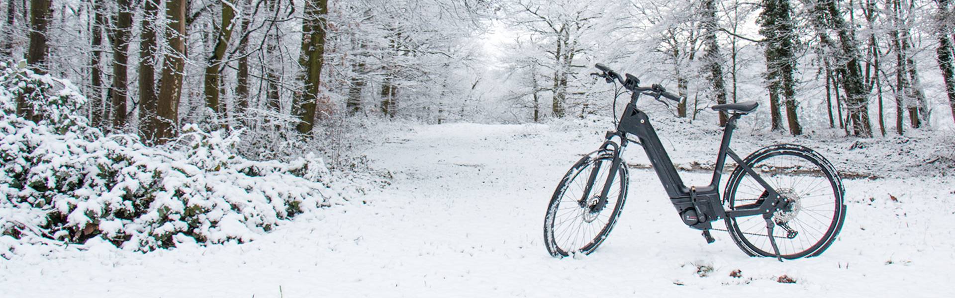 img-headerVeliosione_2