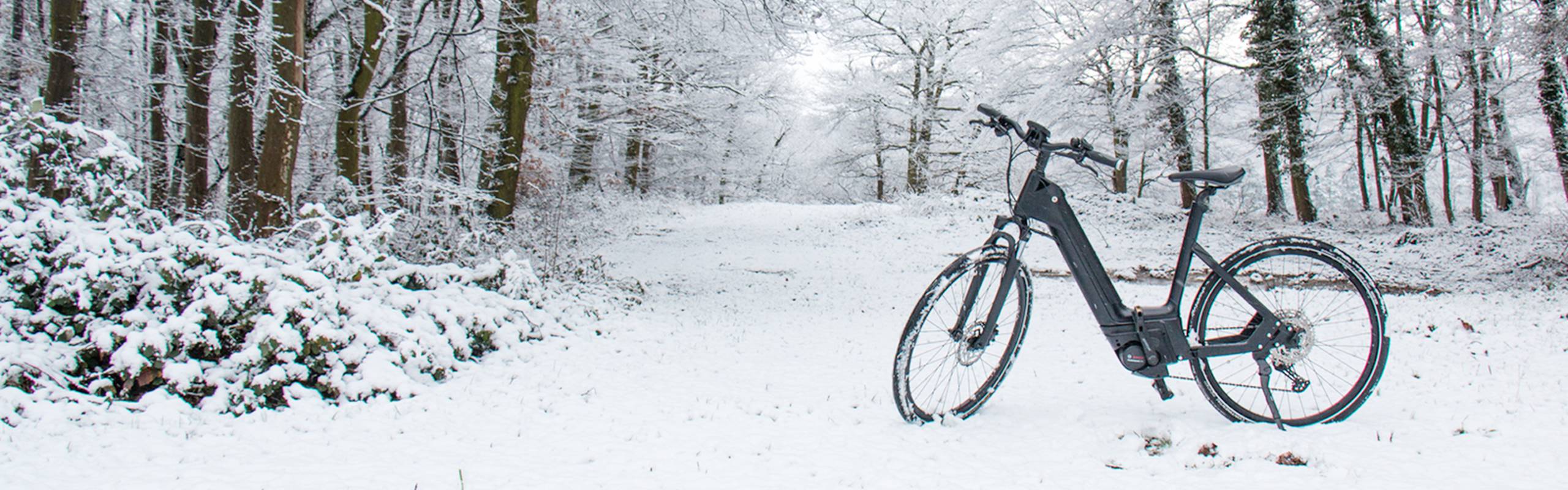 img-headerVeliosione_2