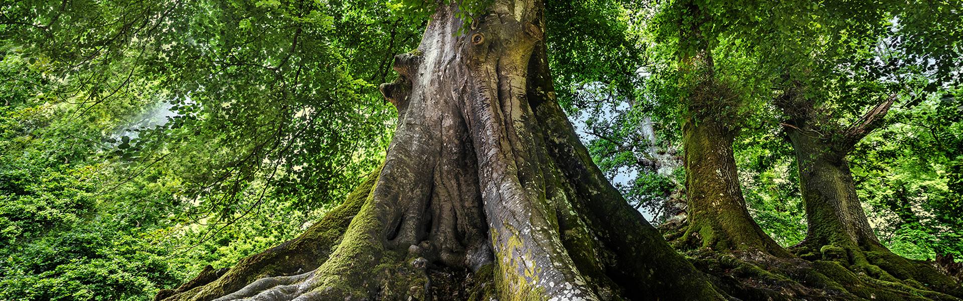 Header_1600x500_Nachhaltigkeit1