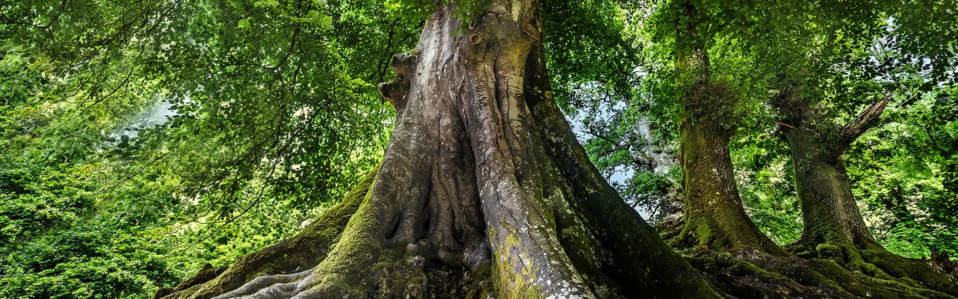 Header_1600x500_Nachhaltigkeit1