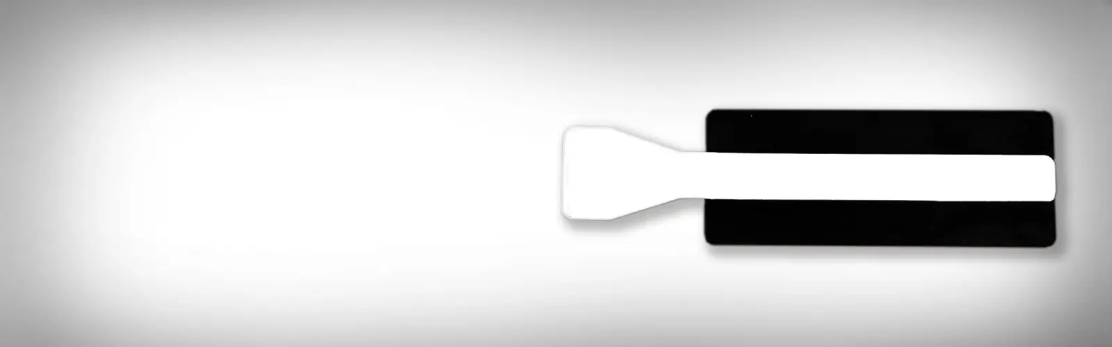 header_1600x500_NeuAdhesion2
