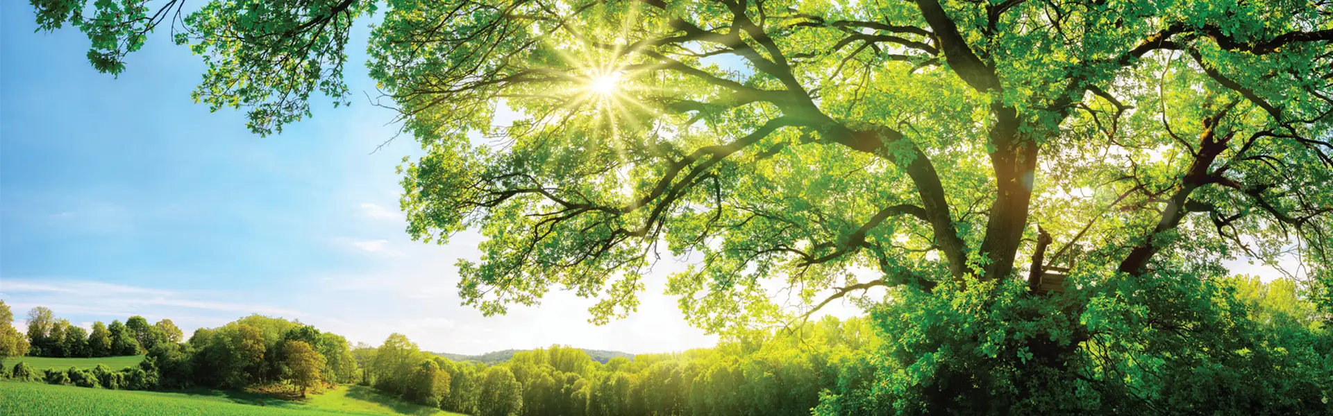 2021_Nachhaltigkeit_1_1600x500