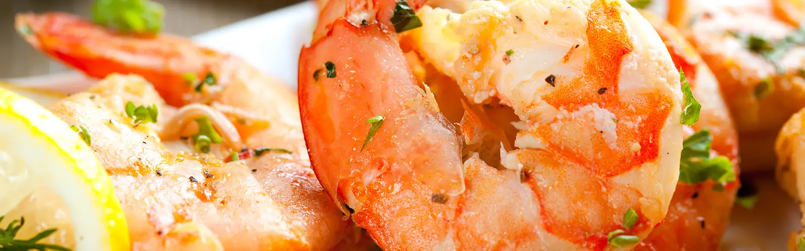 shrimp closeup