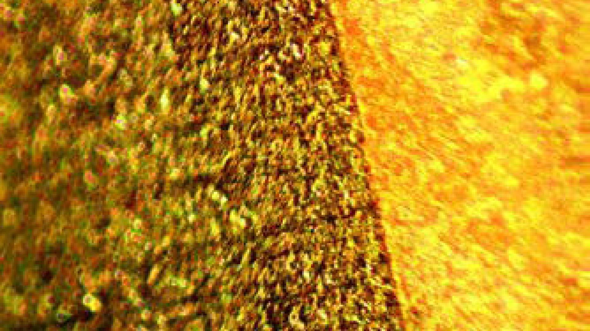 img-textBildText_500x281_PST_5