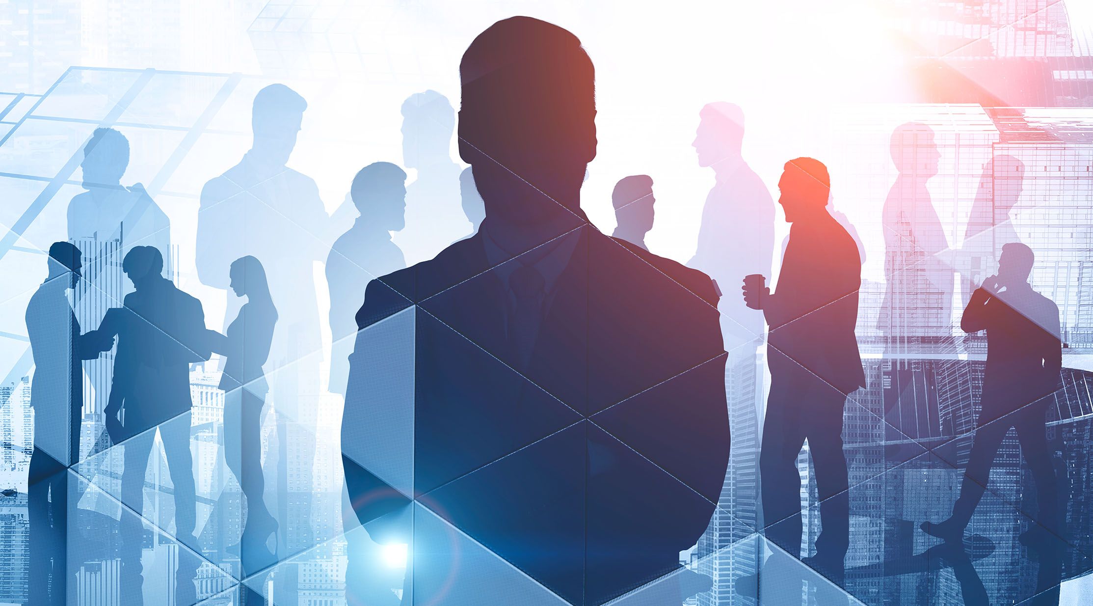 Silhouette of a person