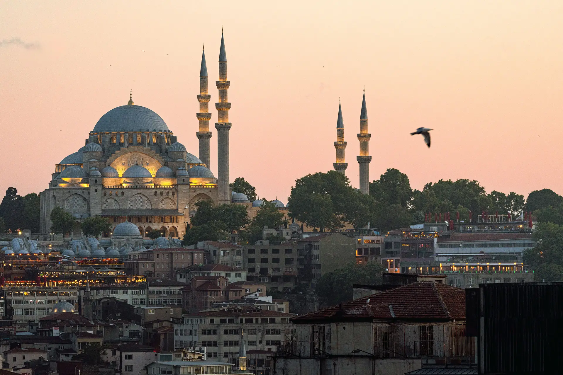 A mosque with four minarets stands against a pastel sunset sky in Istanbul, with a seagull flying by and city buildings in the foreground.