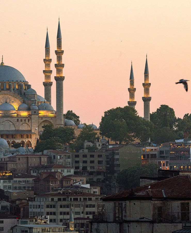 A mosque with four minarets stands against a pastel sunset sky in Istanbul, with a seagull flying by and city buildings in the foreground.