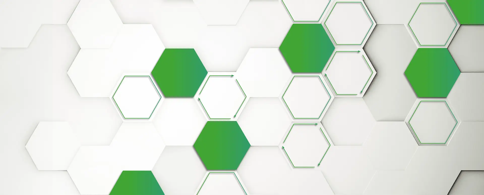 HEADER 3200x1430 AF-CirColor