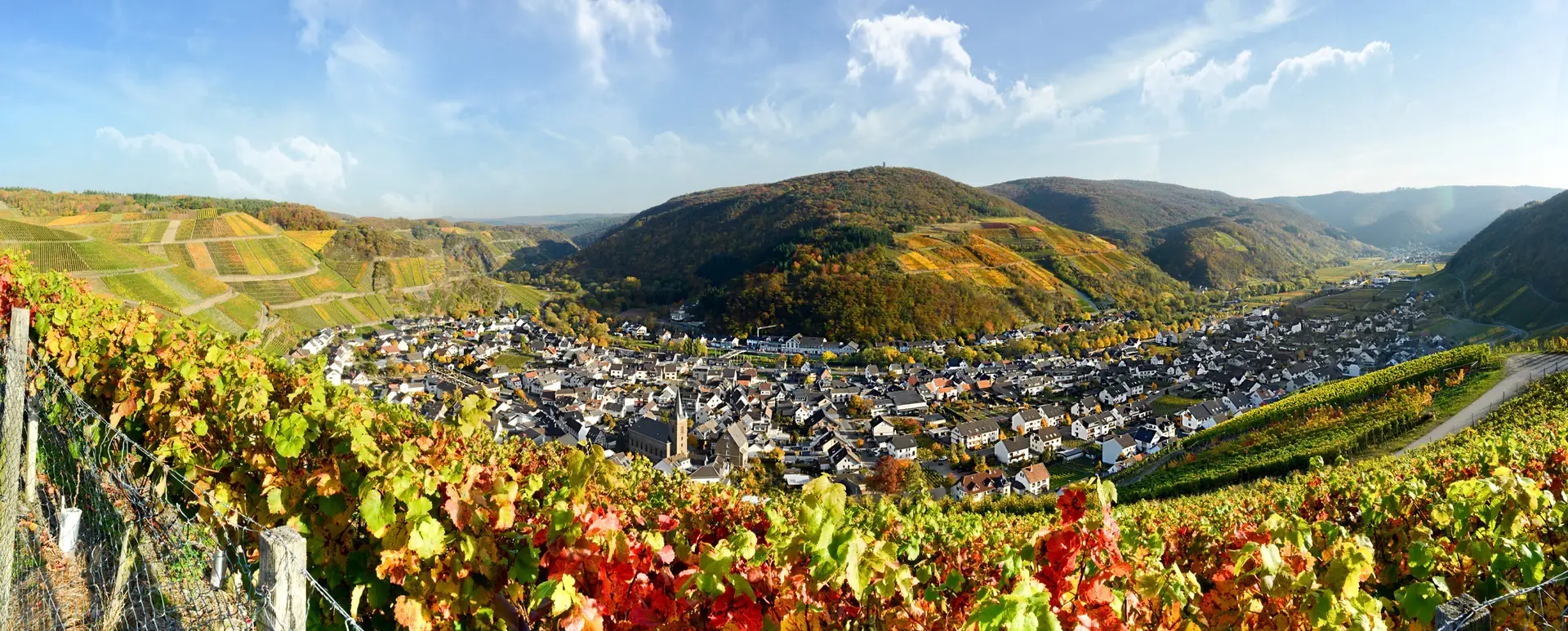 Header Weinberge
