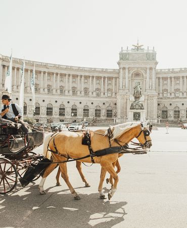 Vienna horse drawn carriage