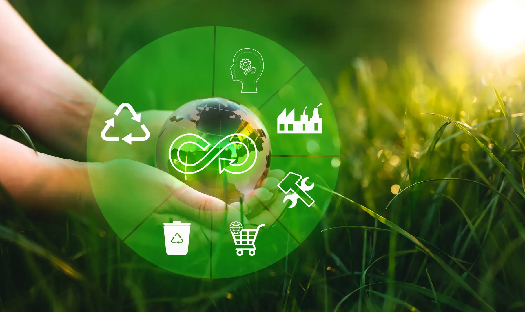 Hands holding a globe with recycling icons overlaid, symbolizing sustainability and environmental conservation, set against a grassy background.