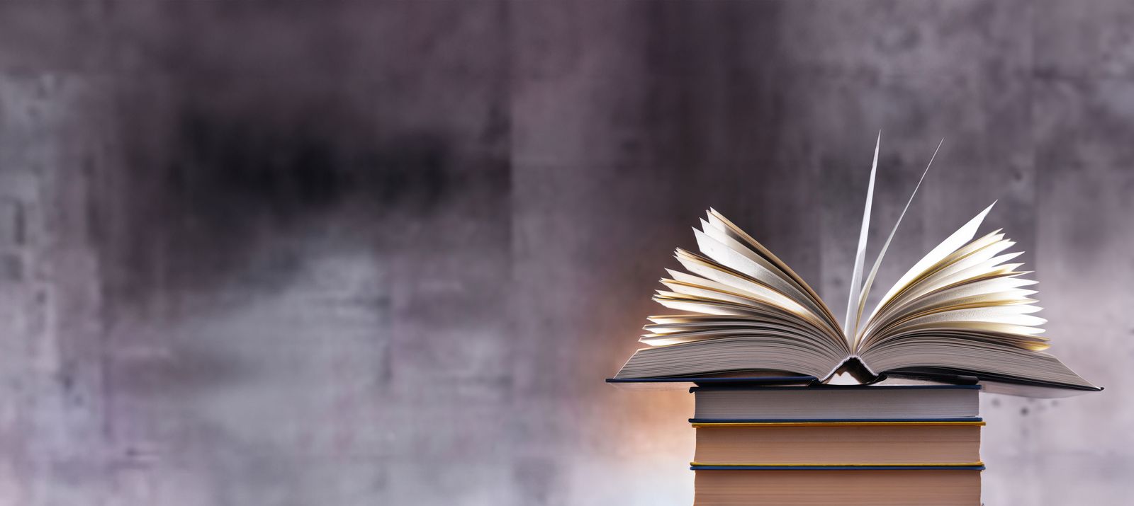 header-Sustainability_lexicon