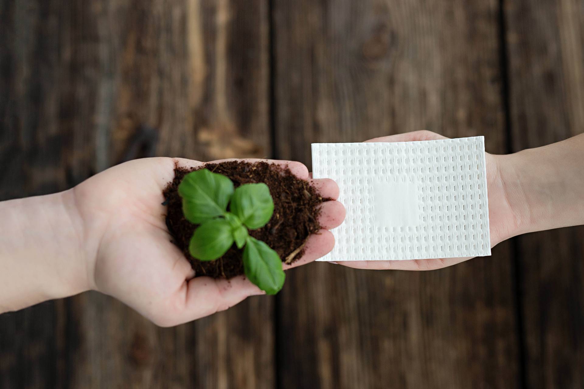 Absorber_Pad_Bild_figure 1__unklar_Woher