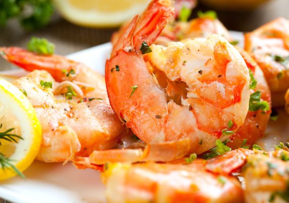 Shrimp closeup