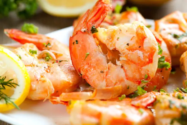 Shrimp closeup