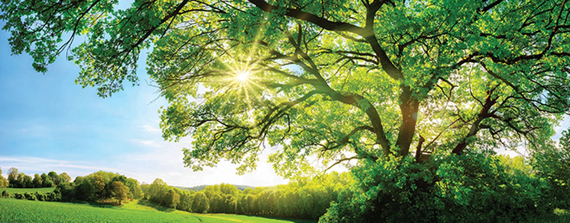 img-textTeaser_Kachel_690x270_Nachhaltig_1