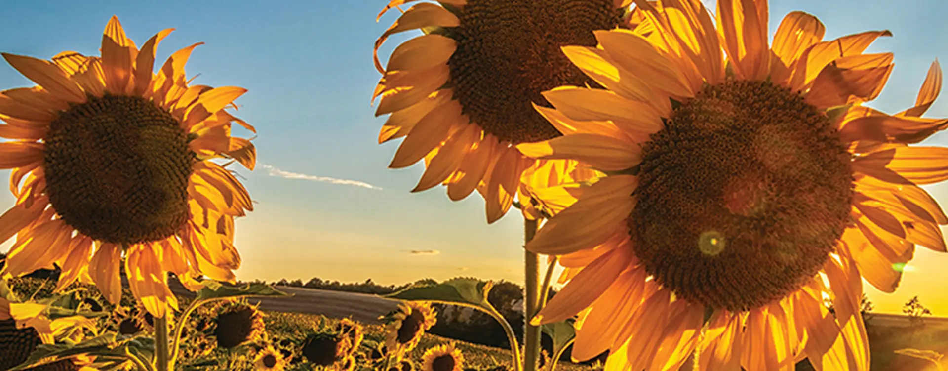 img-textTeaser_Kachel_690x270_Nachhaltig_2