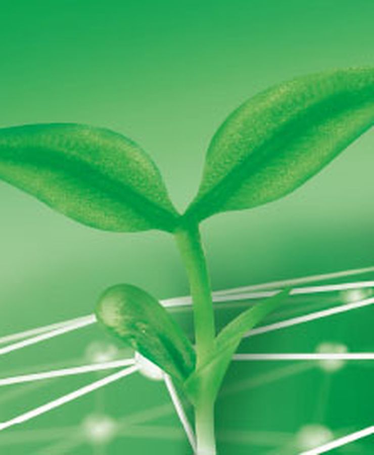 Teaser_Kachel_690x270_Keimling