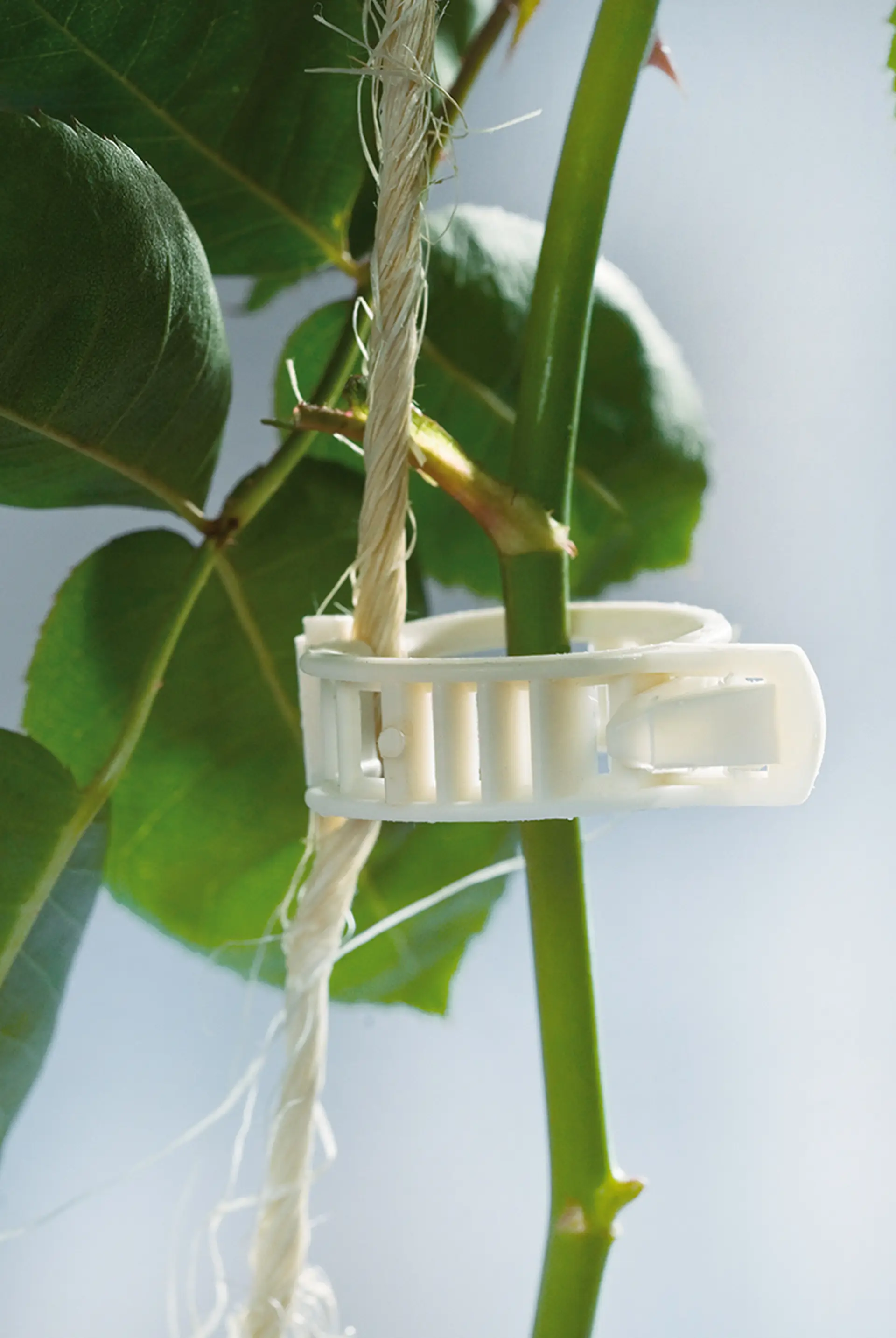 Bio-Fed_Clip_RGB_150dpi