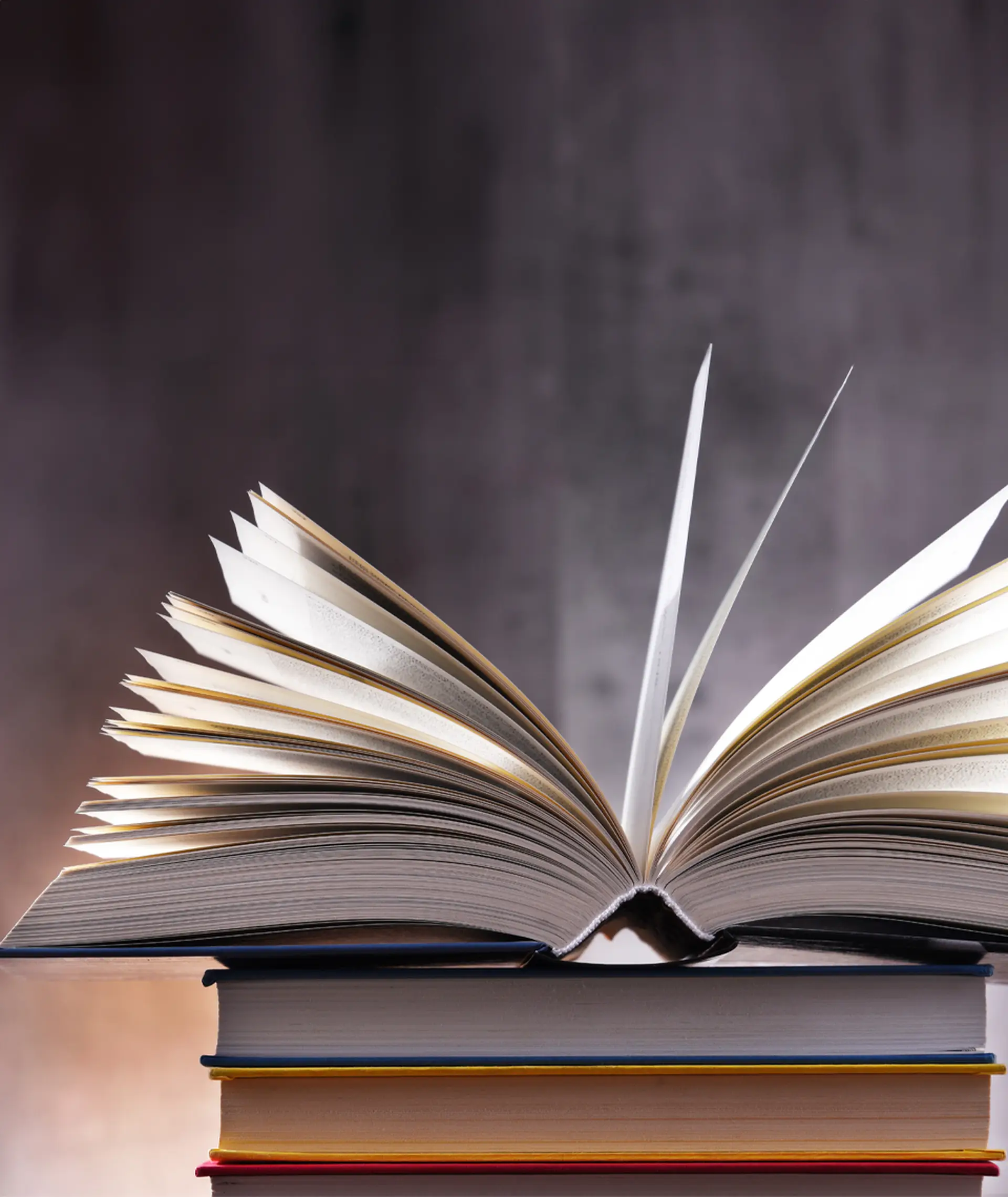 teaser-Sustainability_lexicon