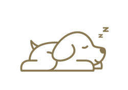 Piktogramm zu Office Dogs