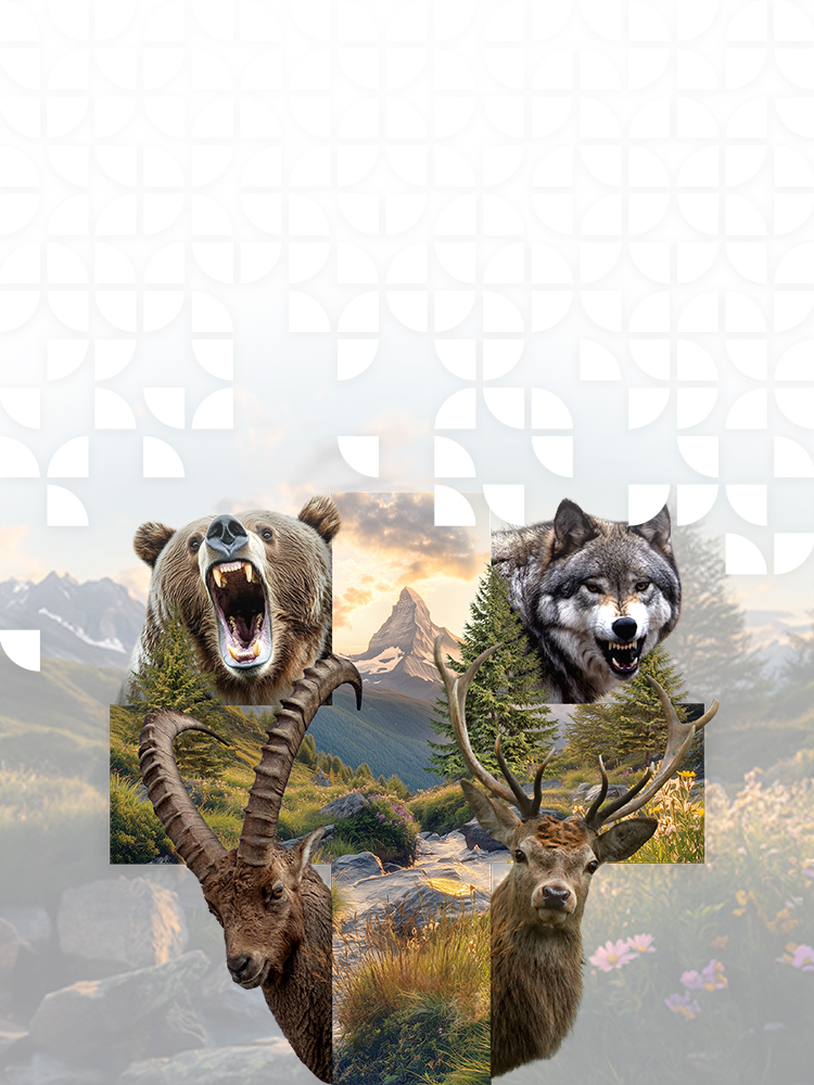 Schweizer Kreuz mit den Tieren der Serie - Bär, Wolf, Steinbock, Hirsch