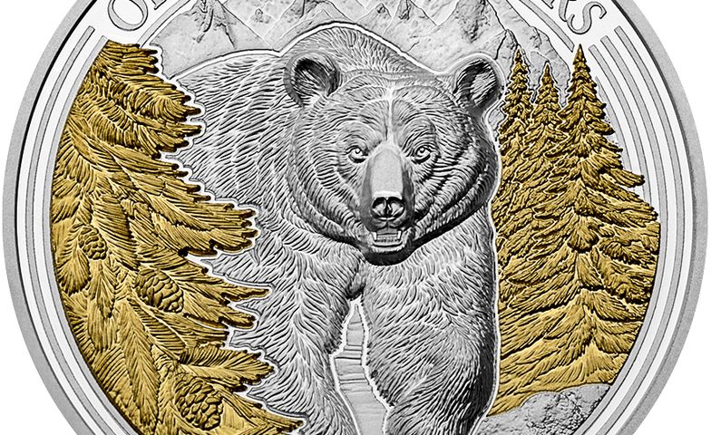 Produktfoto Der Bär Frontalansicht der Swiss Wildlife Silbermedaille "Der Bär".