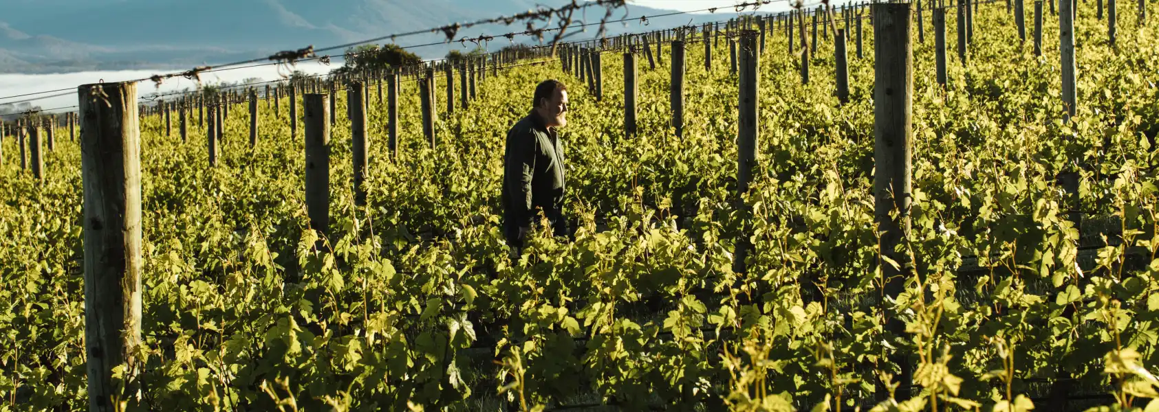 Winemaker Greg Jarrett in vineyard