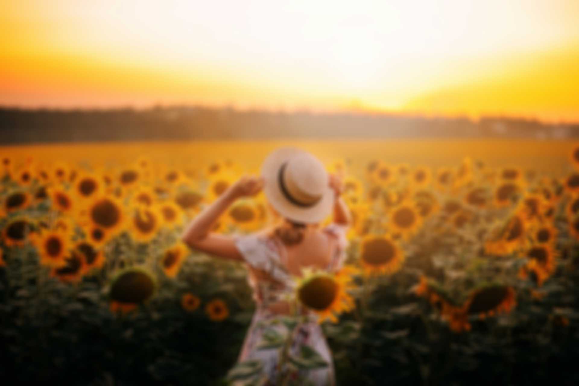 Lady holding hat in front of sunflowers