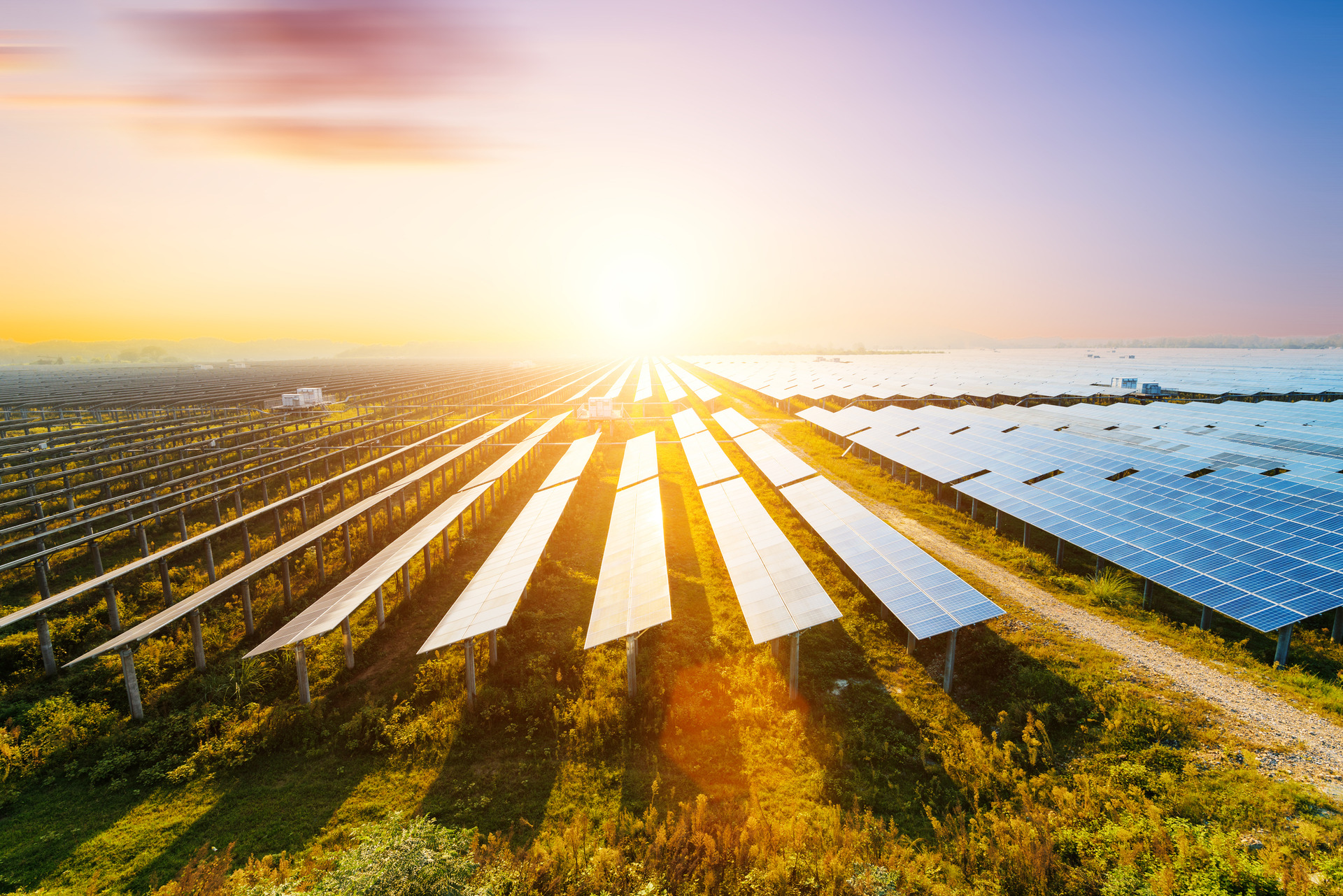Rows of solar panels