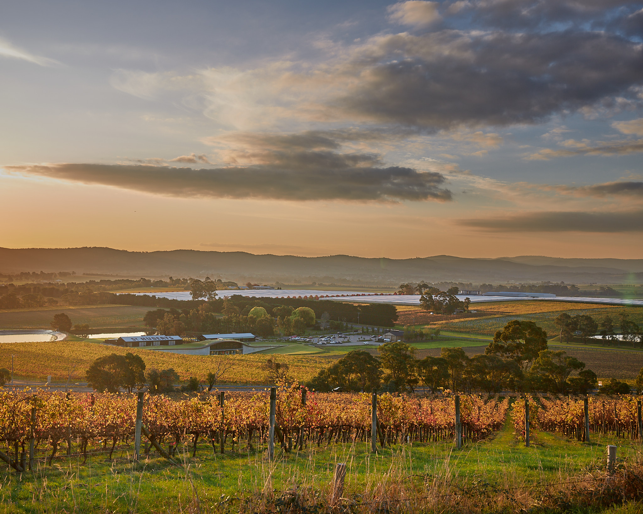 Sunset view over the yarra valley