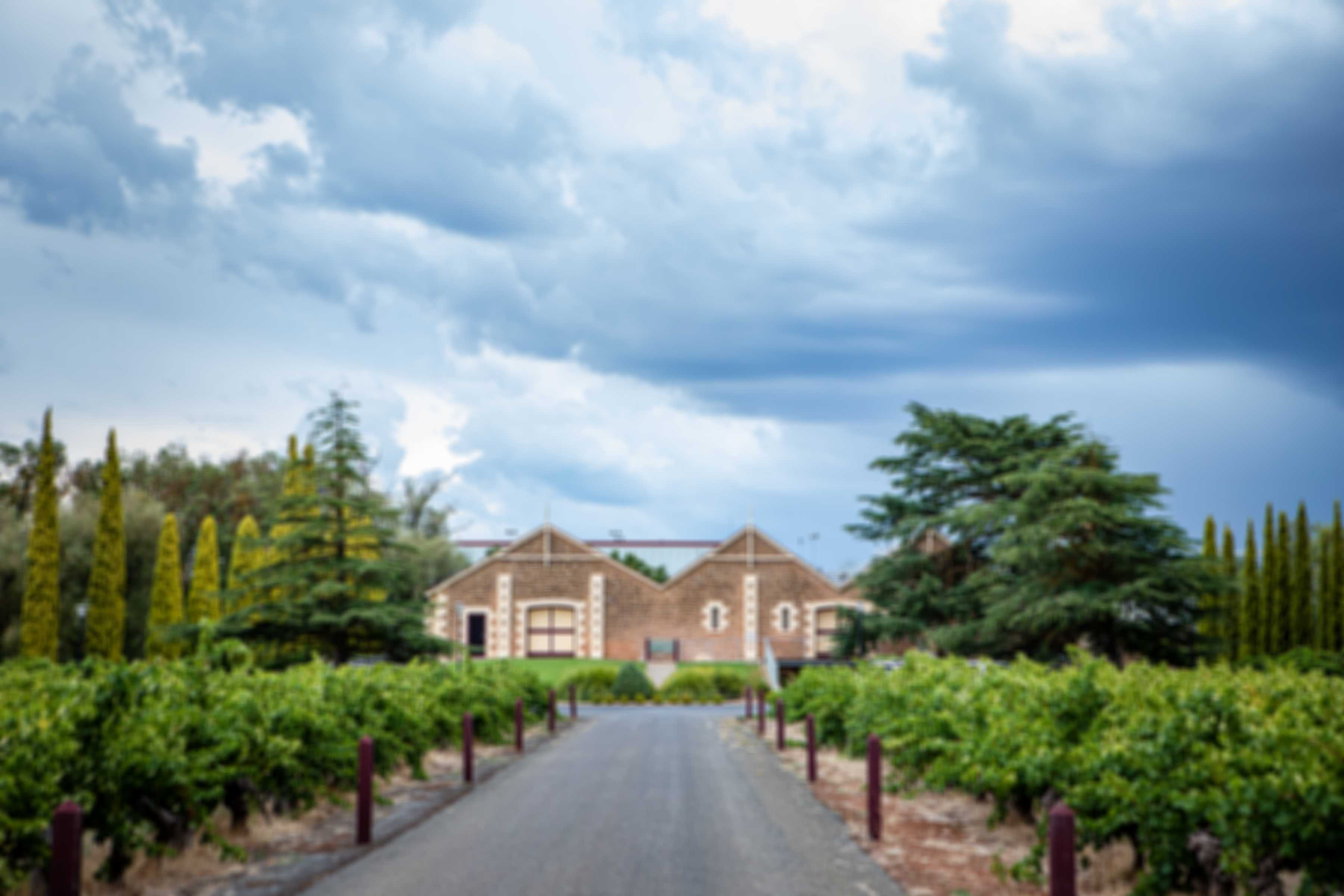 Wynns Coonawarra Estate Gables & Cellar Door 204