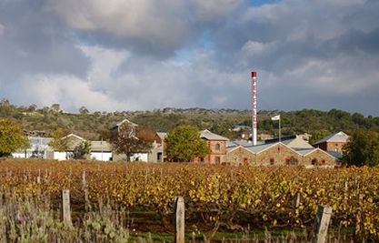 Magill office and cellar door