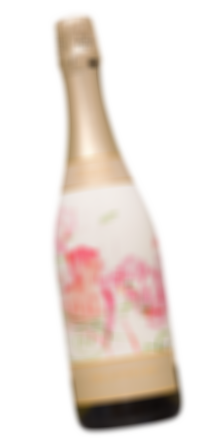Yellowglen Pinot Noir Chardonnay