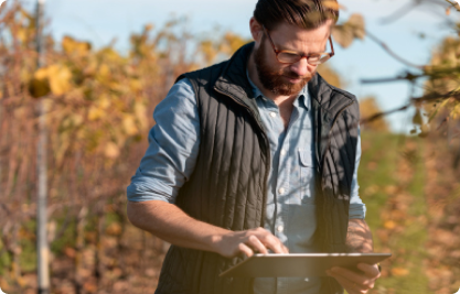 Man on tablet in vineyard in autumn