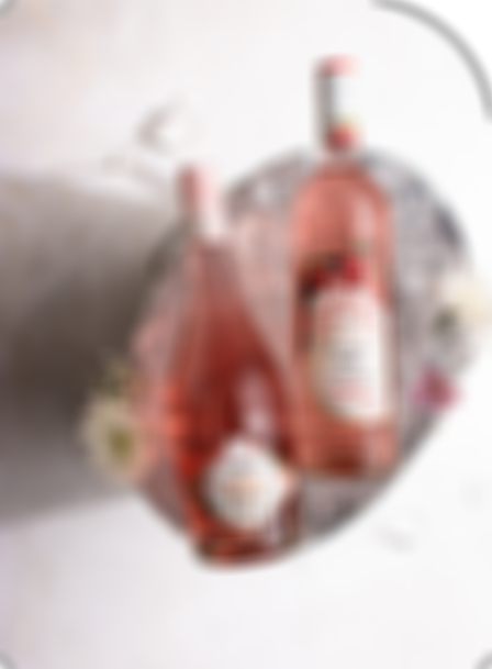 ice-bucket-home-page-text