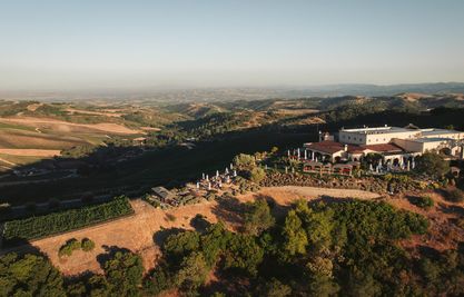 DAOU Estate