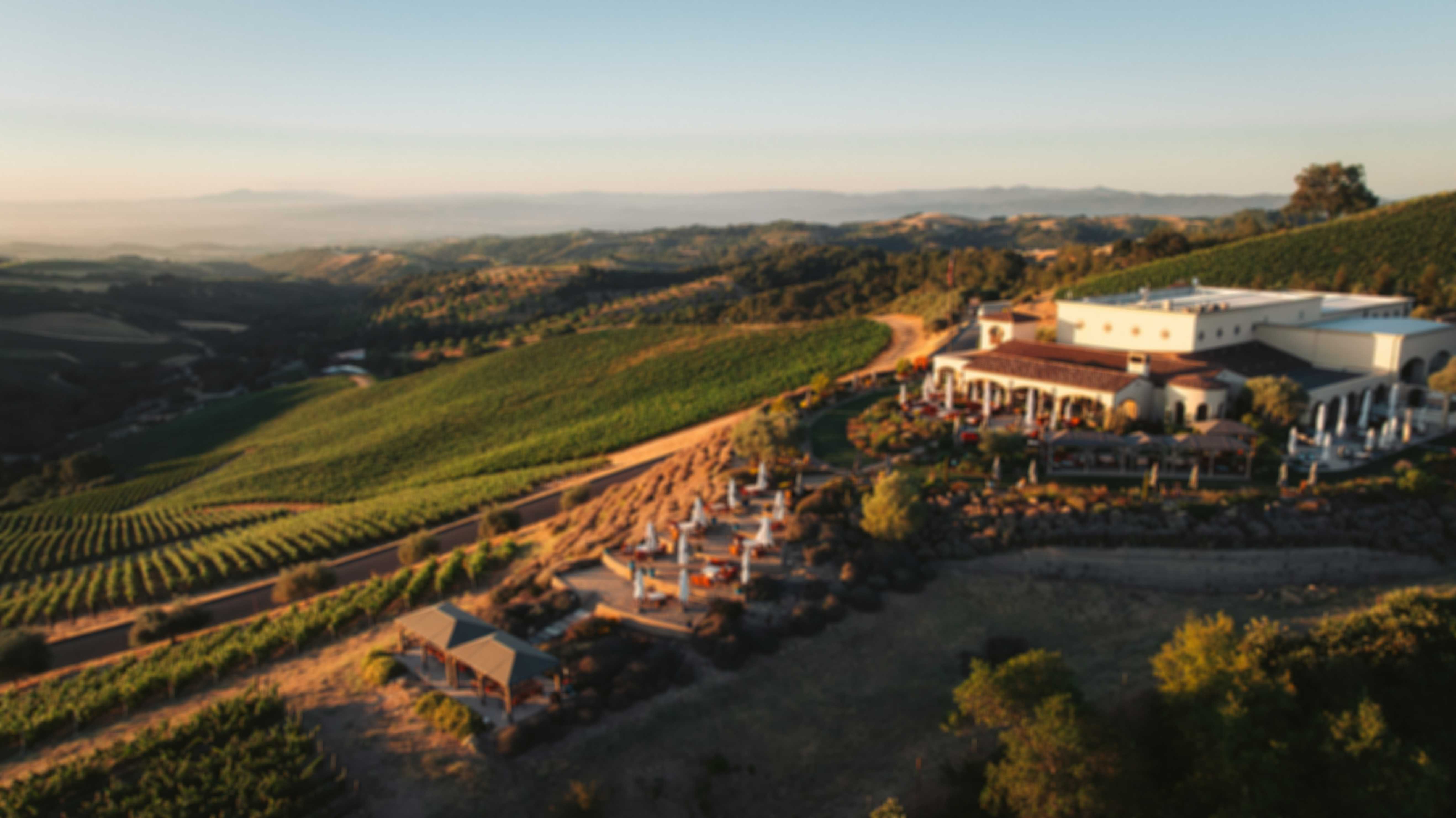 Aerial view of DAOU Estate in Paso Robles, California, showing vineyards stretching across rolling hills at golden hour. The winery buildings, outdoor seating areas, and surrounding landscaped gardens are bathed in warm sunlight, with distant mountains visible under a clear sky.