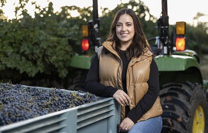 producing-sustainable-wine