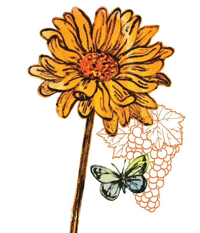 Flower and Butterfly illustrations
