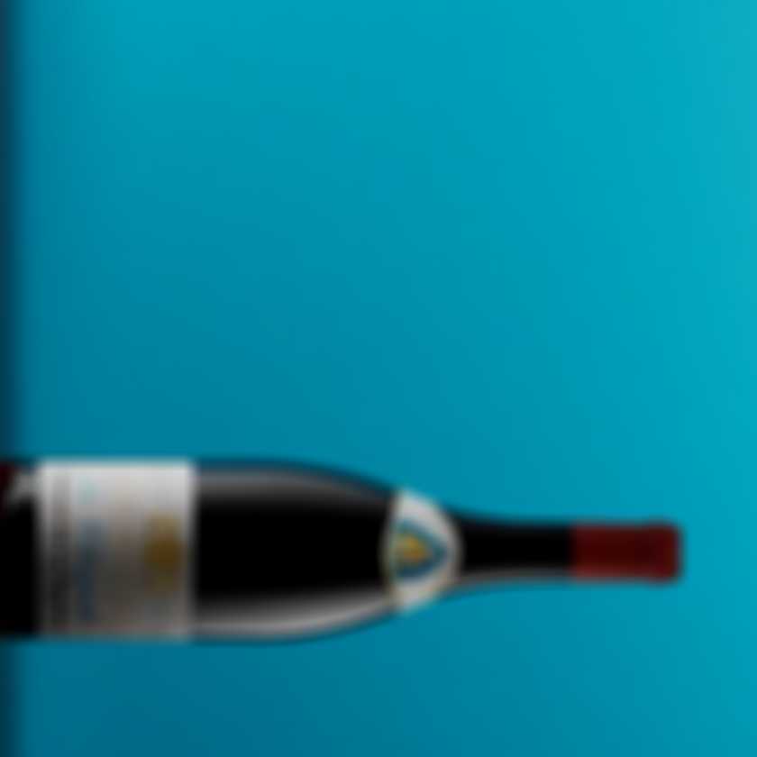 PEN 2022 La Chapelle Syr Grange Shz 750ml FB Cork