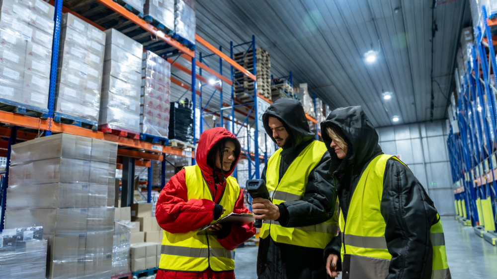 Trois opérateurs d’entrepôt, vêtus de gilets de sécurité et de sweats à capuche, contrôlent les stocks à l’aide d’un scanner dans un espace de stockage lumineux, illustrant la traçabilité logistique des marchandises.