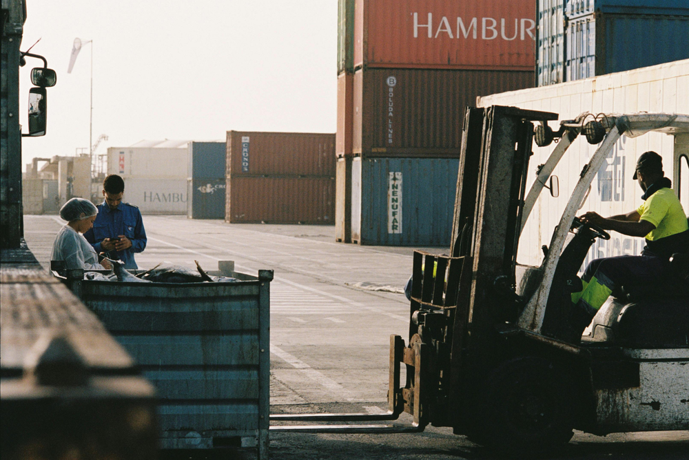carta de porte ADR – carretillero maniobrando cerca de contenedores apilados mientras dos trabajadores están junto a un contenedor en un muelle soleado