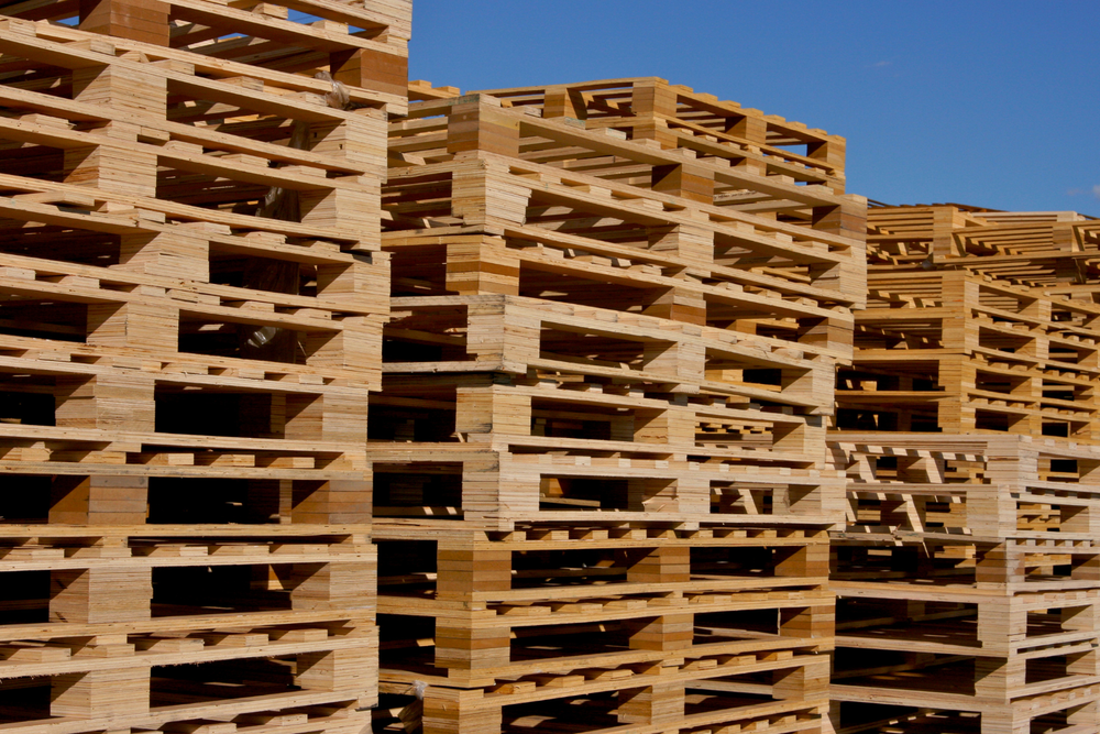 Filas de pallets de madera apilados bajo un cielo azul, formando un patrón de líneas horizontales y verticales.