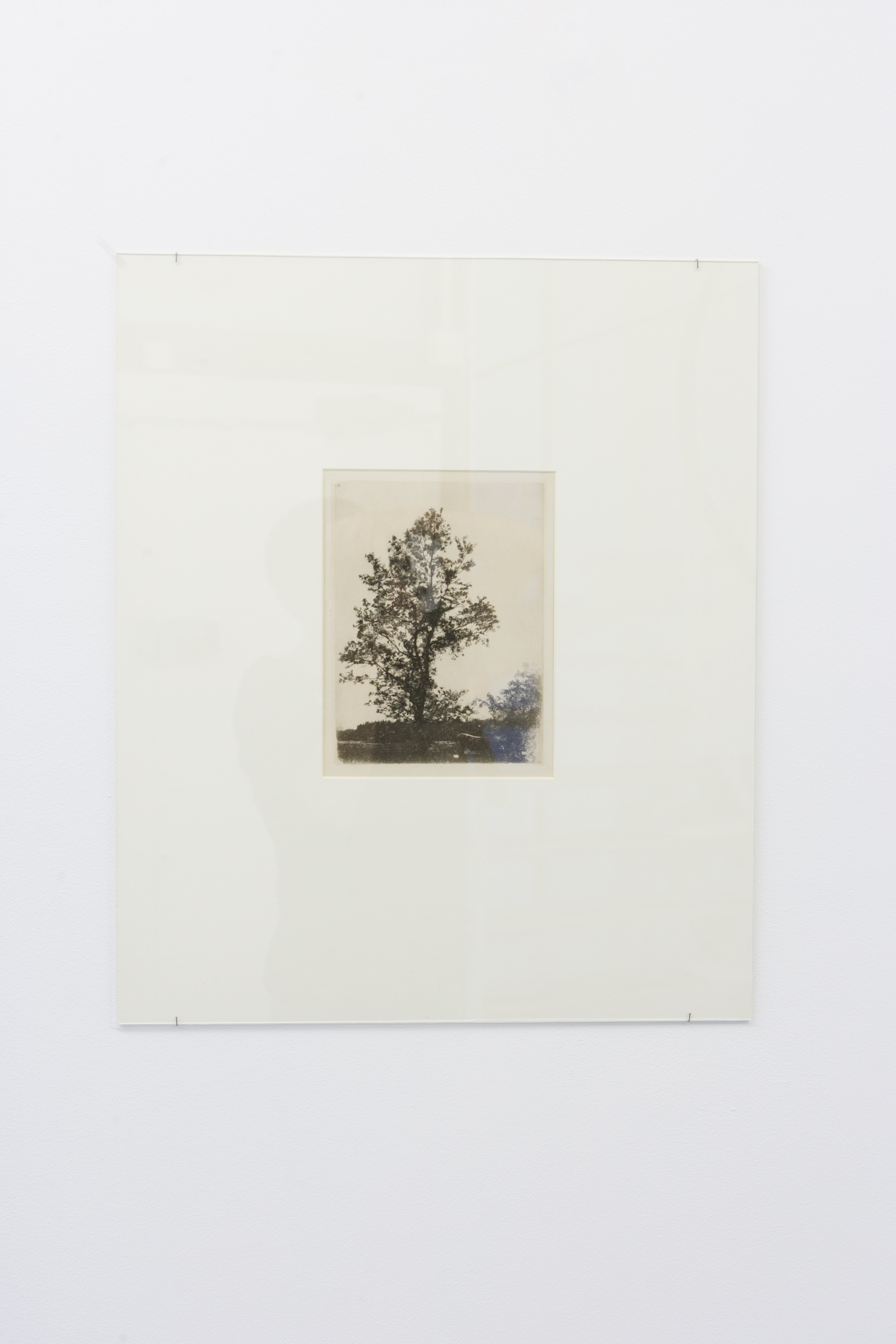 Wilhelm Leibl, Der grosse Baum (The big Tree), 1874/75. Etching on paper. 