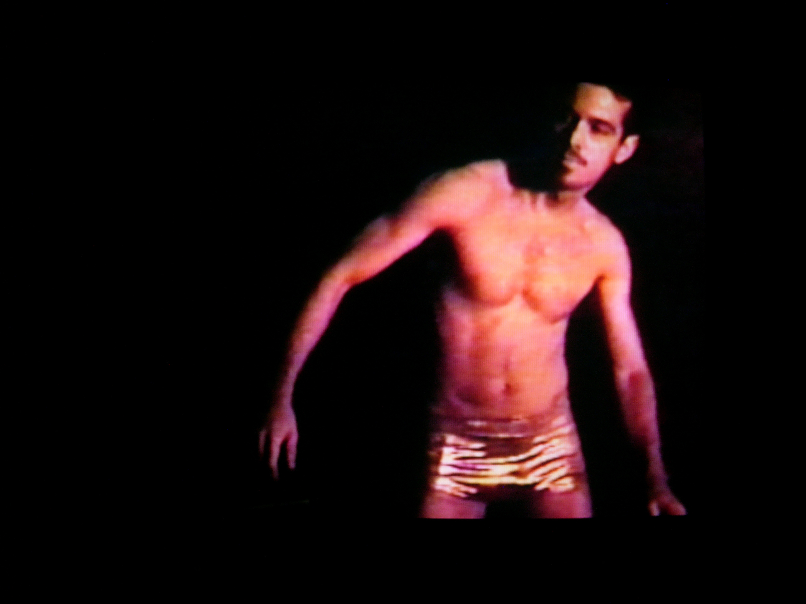 David Wojnarowicz and Ben Neill, ITSOFOMO (in the shadow of forward motion). Originally recorded with Ben Neill in 1991, edited 2004. Video (color, sound), 22 Minutes. 